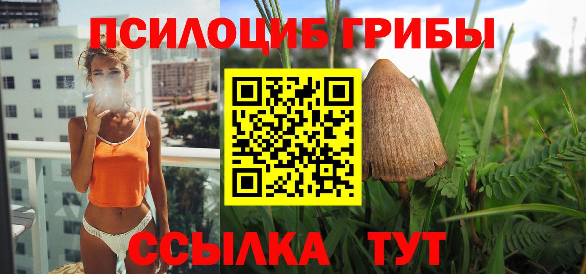 наркотики  Псилоцибиновые грибы Cubensis  Псилоцибиновые грибы прущие грибы  Вход с VPN  Тулун 